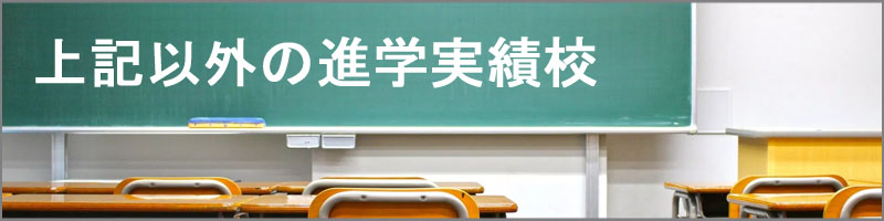その他の進学実績校